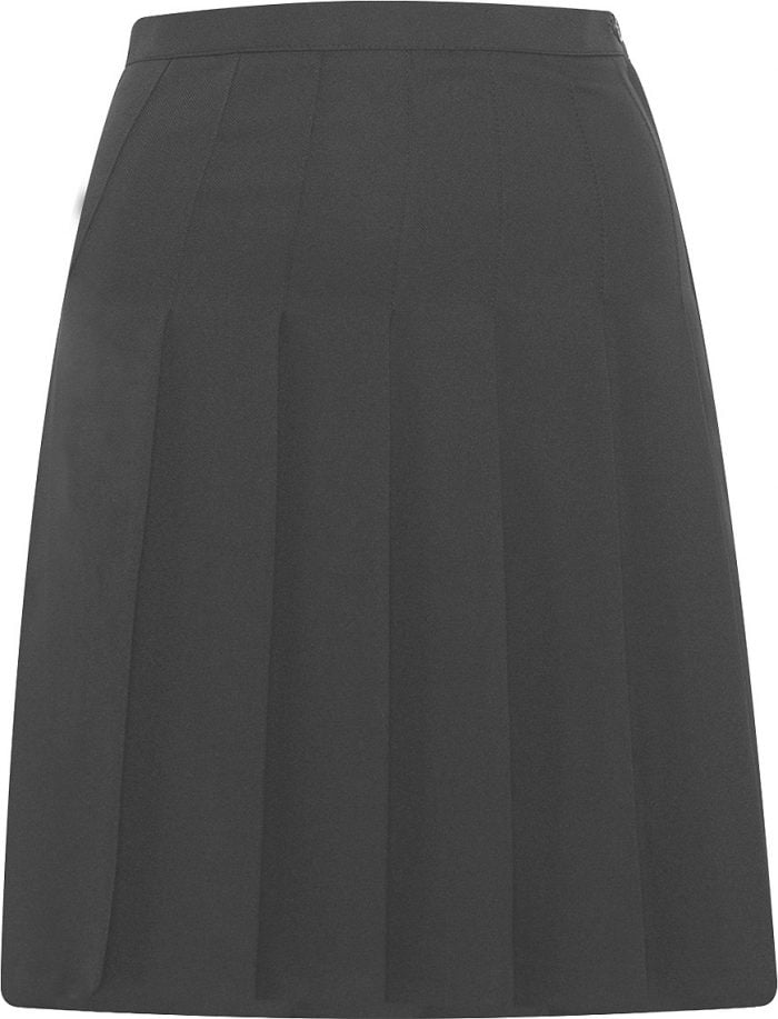 Designer Pleated Skirt - 1EA