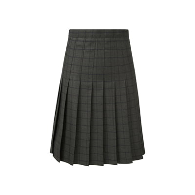 charleston pleated skirt